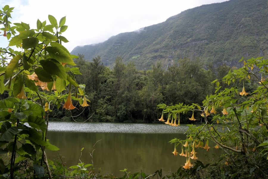 Blick auf den See Mare a Poule d'Eau