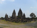 Glorious Prambanan