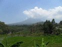Rice terraces near Garut, West Java